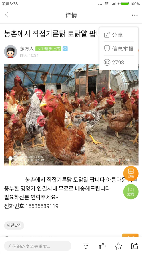哈土豆4