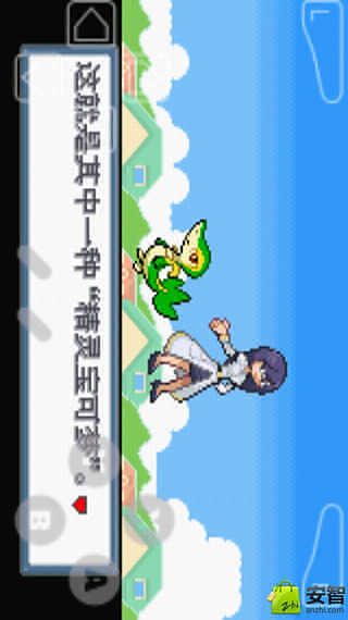 口袋妖怪白金光下載4