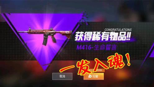 和平精英開箱模擬器4