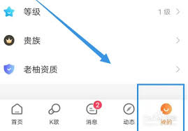 老柚如何查看收益