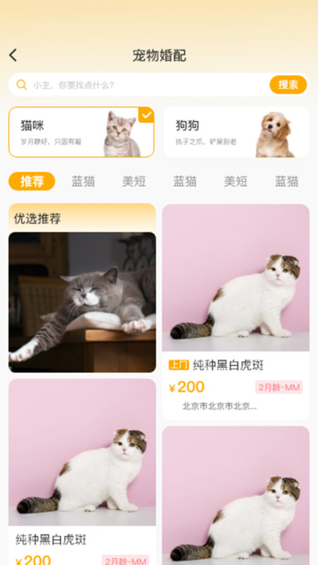 喵鑫球?qū)櫸?
