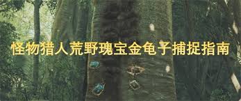 怪物獵人荒野：如何捕捉瑰寶金龜子
