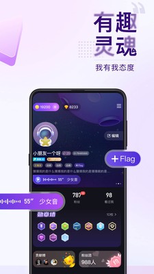 Flag1
