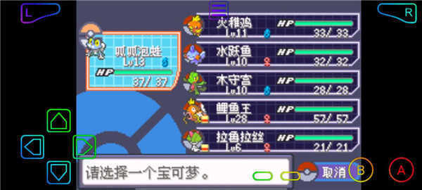 口袋妖怪綠寶石小智版2