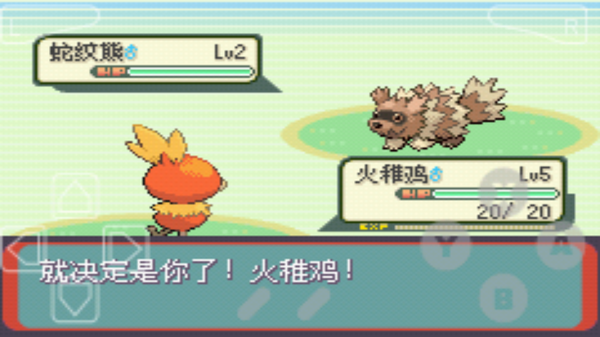 口袋妖怪綠寶石精裝版4