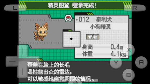 口袋妖怪白3