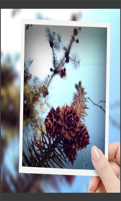 Fun camera1