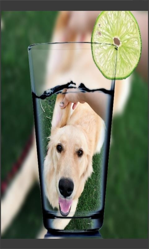 Fun camera5