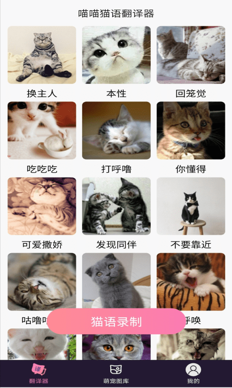 喵喵貓語翻譯器2