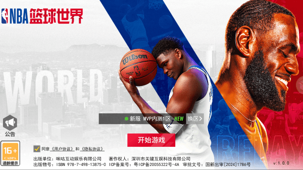 口袋籃球1