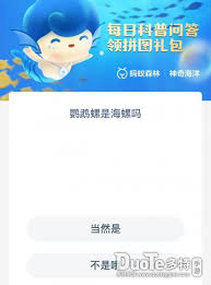 支付寶神奇海洋鸚鵡螺是海螺嗎