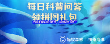 企鵝黑白兩色的配色有什么作用
