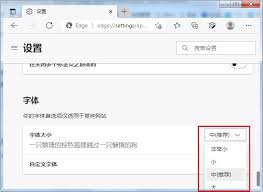 edge浏览器如何设置字体大小