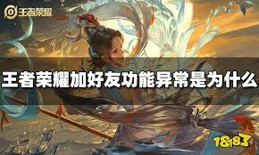 王者榮耀加好友功能異常怎么辦