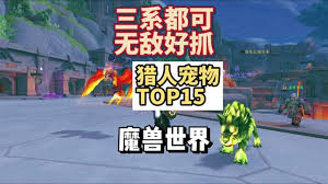 魔獸世界11.5獵人帶什么寶寶好