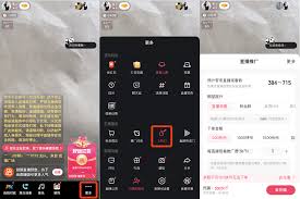 快手粉条怎么使用