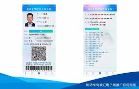 電子駕駛證全國通用嗎