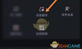錄音專家如何翻譯語音