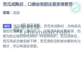 苦瓜成熟后口感會(huì)變甜還是更苦