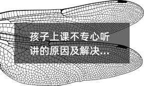 小学生上课不听讲的原因
