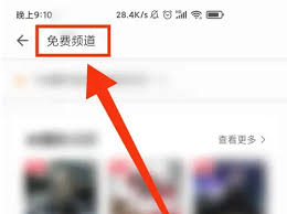 掌阅APP开启免费听书功能指南