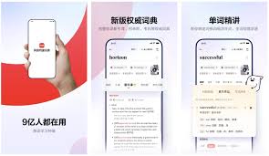 如何去除網(wǎng)易有道詞典廣告