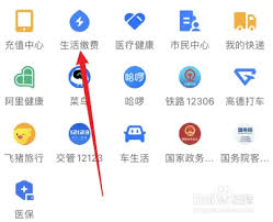 支付寶如何查每月用電量