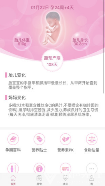 幸孕兒最新版1