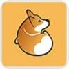 shell32.dll 