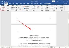 word分頁(yè)符刪除不掉怎么辦