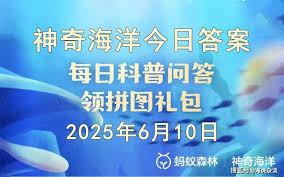 电脑版小火箭怎么下载软件