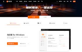 掌握向日葵遠(yuǎn)程控制：詳細(xì)教程與技巧實(shí)現(xiàn)高效遠(yuǎn)程協(xié)助