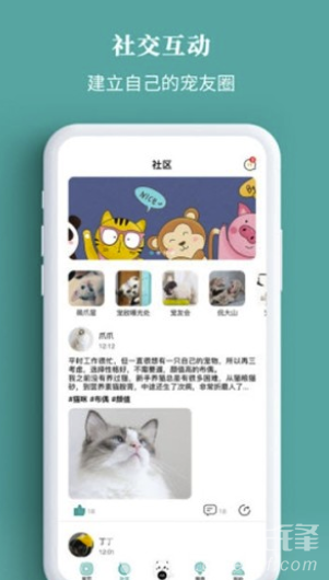 寵+3