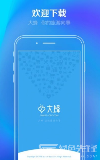 大蜂旅游