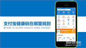 ios支付寶如何查看健康碼URL代碼