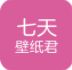 shell32.dll 