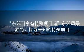 東郊到家是否有特殊項(xiàng)目