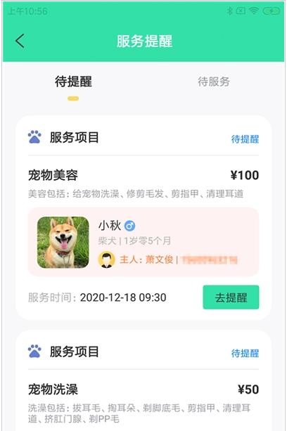 奇飛寵掌館最新版3