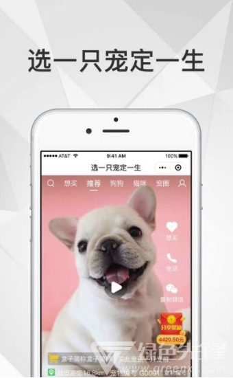 奶寵寵物短視頻2