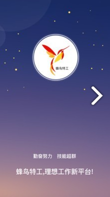 蜂鳥特工最新版4