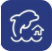 shell32.dll 