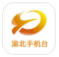shell32.dll 