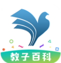 shell32.dll 