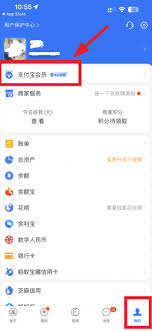支付寶顏色等級(jí)在哪查看