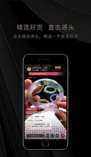 玩轉(zhuǎn)翡翠免費(fèi)版