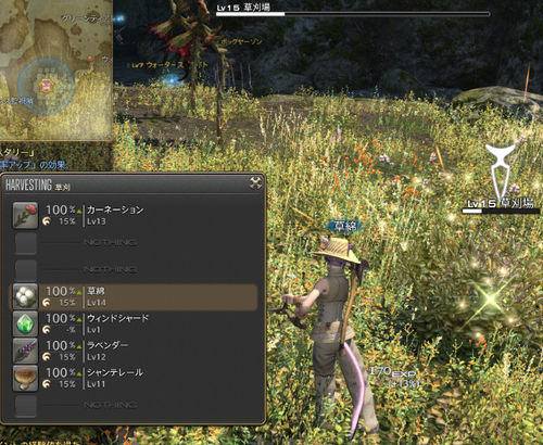 最終幻想14;FF14園藝師;最終幻想14園藝師