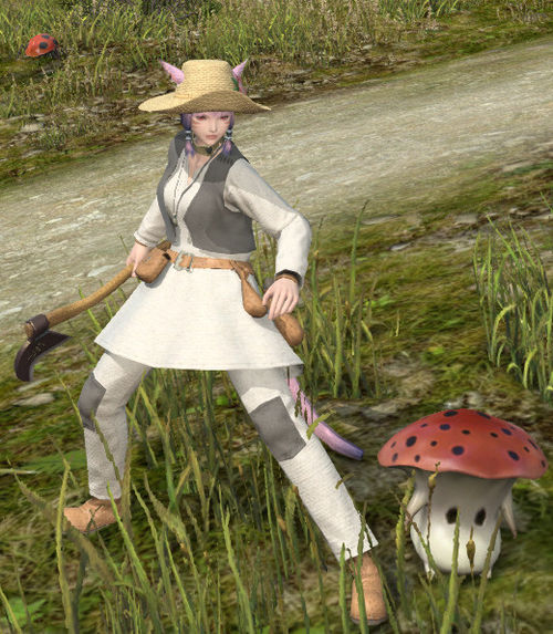 最終幻想14;FF14園藝師;最終幻想14園藝師