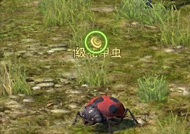 最終幻想14討伐筆記怪物分布一覽表
