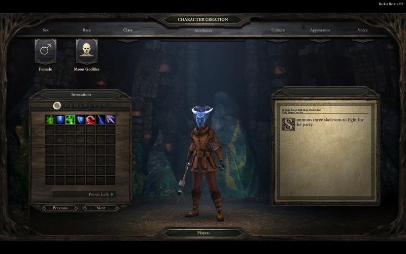PillarsOfEternity 2014-08-25 18-52-57-88.jpg