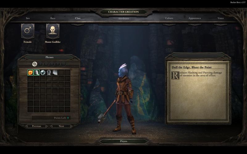 PillarsOfEternity 2014-08-25 18-52-50-52.jpg
